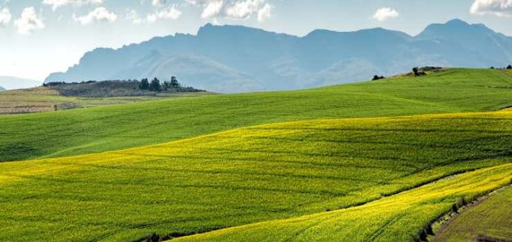 Terreni agricoli, boschivi e edili: nuove agevolazioni e per l’agrivoltaico